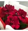 Букет роз «Париж» 1