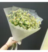Кустовые ромашки