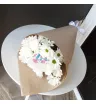 Хризантема ромашковая