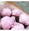 Пионы «Зефир» 1