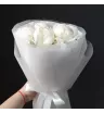 Пионы белые 2